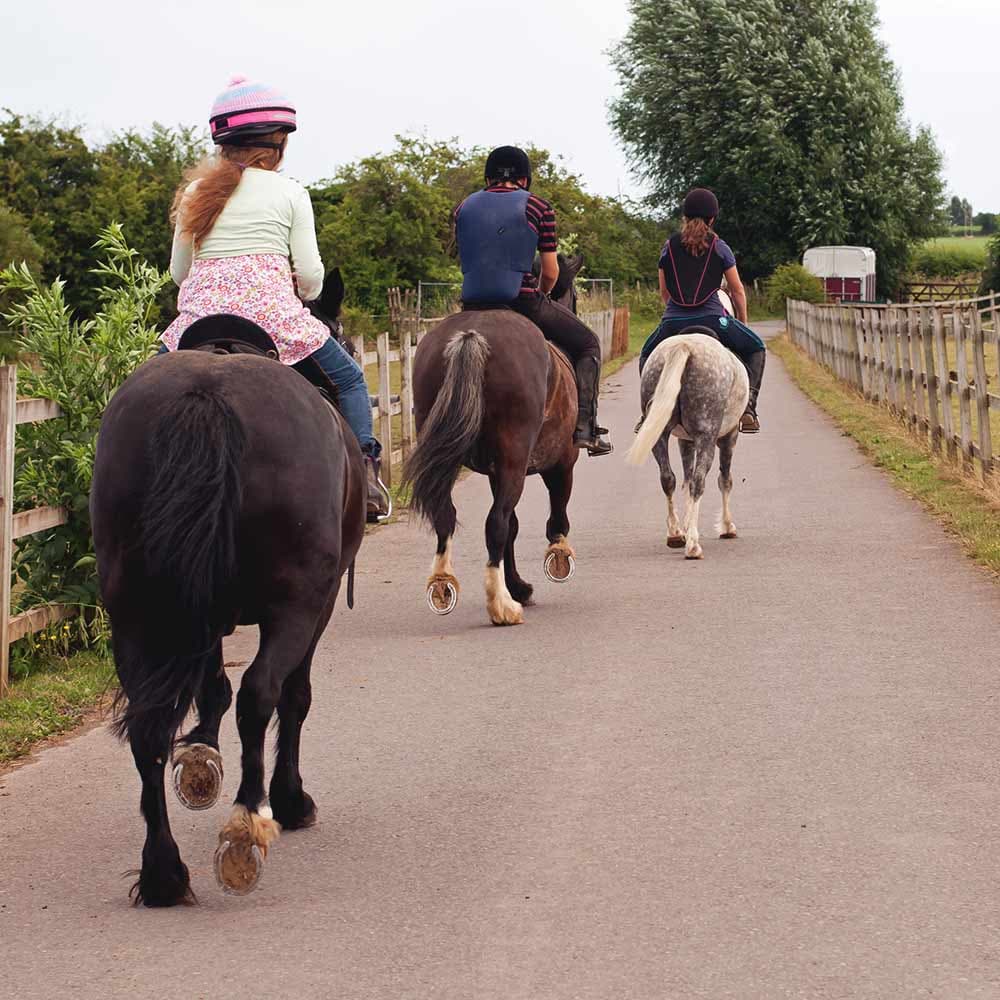 <strong>Lifestyle & Attractions</strong>