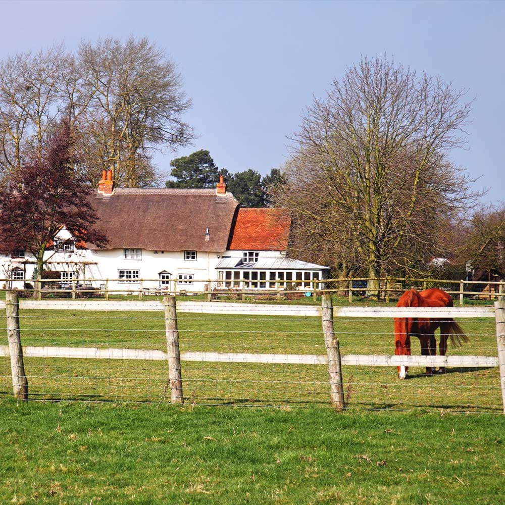 <strong>Equestrian Property</stong>
