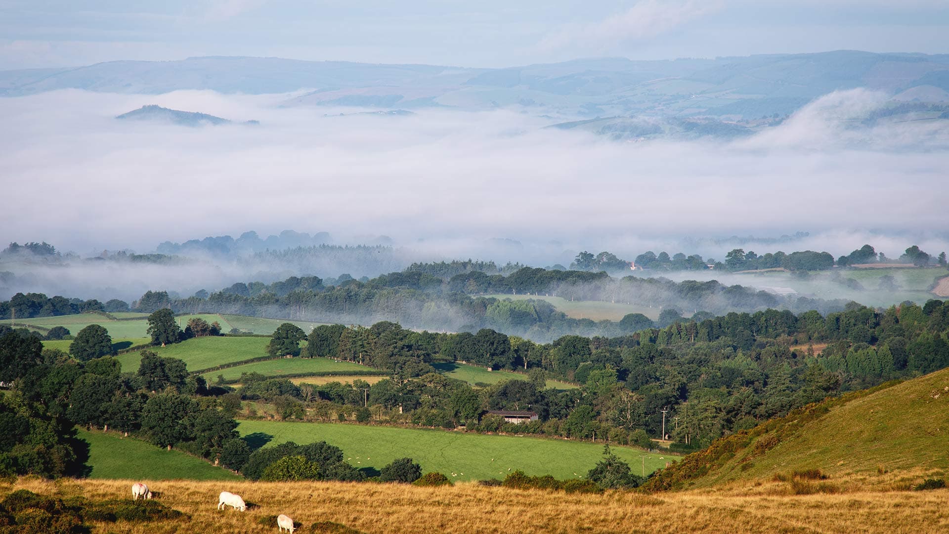 Mid Wales Area Guide